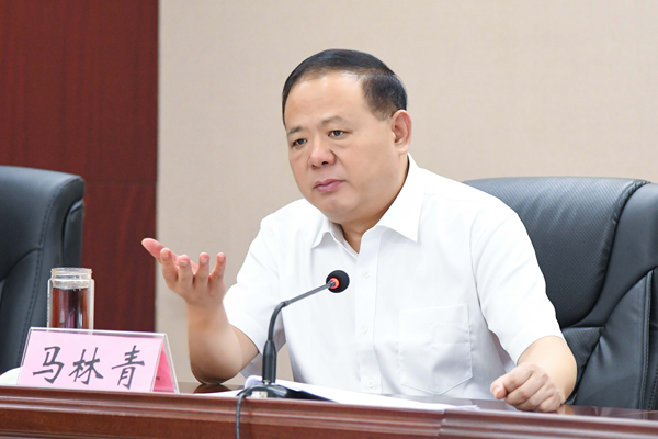 省政府食安辦主任、省市場監(jiān)管局書記馬林青講話
